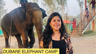 DUBARE ELEPHANT CAMP || COORG || MEENAKSHI SIYADRI || #dubareelephantcamp