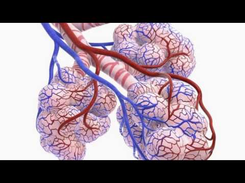 Difference Between Hypoxia and Hypoxemia