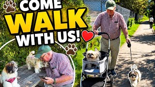 Our Daily Walk Adventure! 