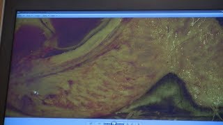 Professor Robert Bowker, part 1: The digital cushion