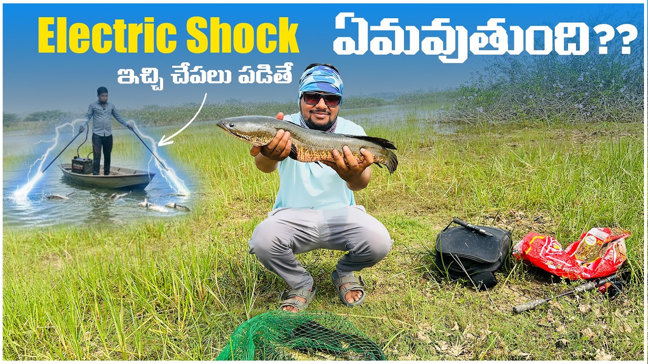 Snakehead Fishing Explained 🎣 | Why Electric Fishing Is Dangerous & Illegal