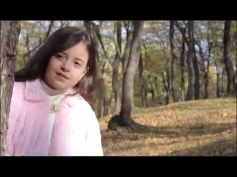 ავეჯის სახლი ლაქშერი. ფილმი