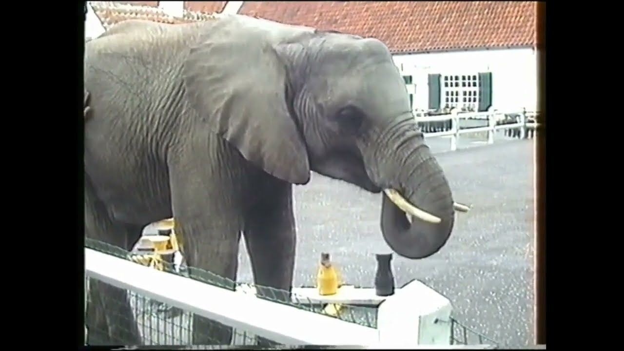 Meli Parc dans l'ancien temps