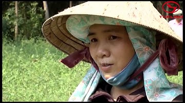 Tuệ Linh tiên phong xây dựng vùng nguyên liệu sạch, chuẩn hóa theo tiêu chuẩn GACP