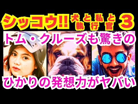 【シッコウ!!〜犬と私と執行官〜3話】超危険なシッコウ大作戦!?【ポイントまとめ】
