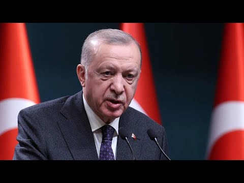 XOGTA: Injineerada warshadaha Hubka ee Turkiga laga dilay & Meelaha looga shakisan yahay