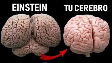 ¿Qué eneagrama es Albert Einstein?