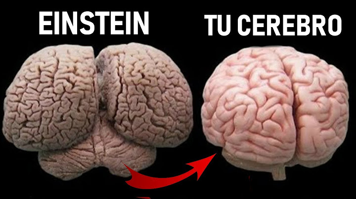 POR ESTA RAZÓN ALBERT EINSTEIN ERA TAN INTELIGENTE | TE LO CUENTO #1