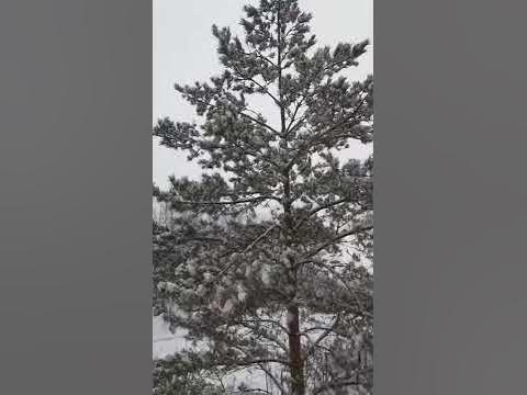 Погода В городе Караганда - YouTube