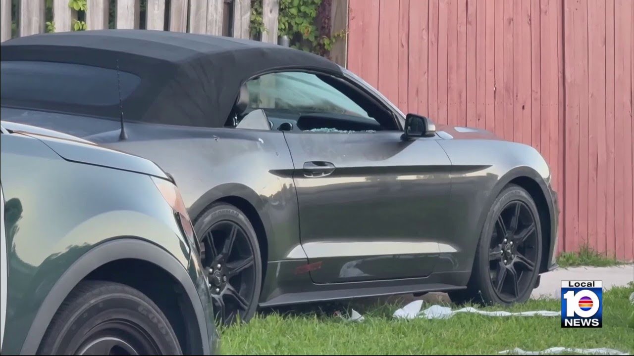 1 killed, 1 injured in North Lauderdale shooting - YouTube