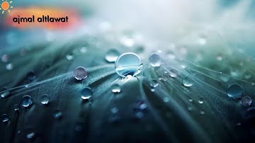 ماهر المعيقلي - تلاوه من سورة الزمر