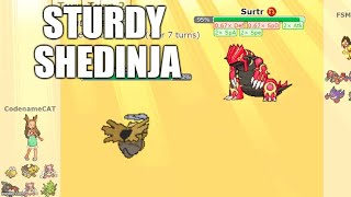 Why Was Shedinja Banned in Competitive Hacked Pokemon?