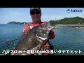 全国屈指のチヌ釣り名手・塩田孝吉【高知県 宿毛湾で年無しチヌを攻略】