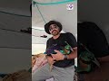 Youth from Baramulla rescued injured wild Himalayan Monal in Sonamarg today