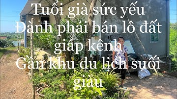 ( đã bán)Chị Hiếu tiếc nuối bán nhà vườn tâm huyết của mẹ để trang trại nó nần ở châu Đức bà rịa VT