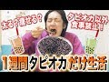 【検証】人は1週間タピオカだけを食べ続けて生活できるのか?【縛り生活】