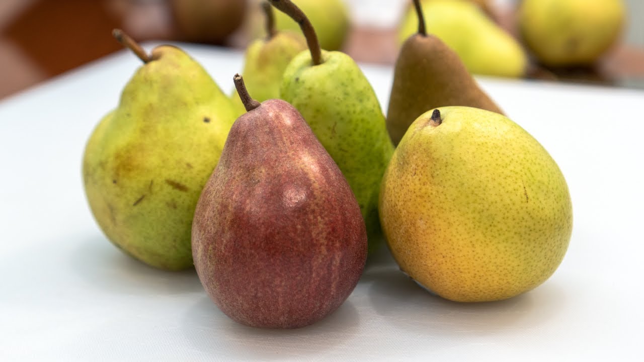 pear คือ  Update New  Pears How-to and Varieties