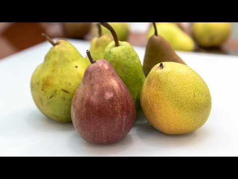 Pears How-to and Varieties