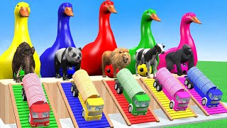 5 Giant Duck, Monkey, Piglet, chicken, dog, cat, cow, Sheep, Transfiguration funny animal 2023