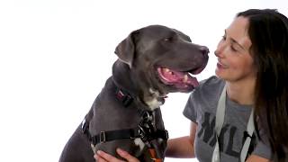 Adopt Alexis at NKLA