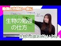 生物 生物の勉強の仕方