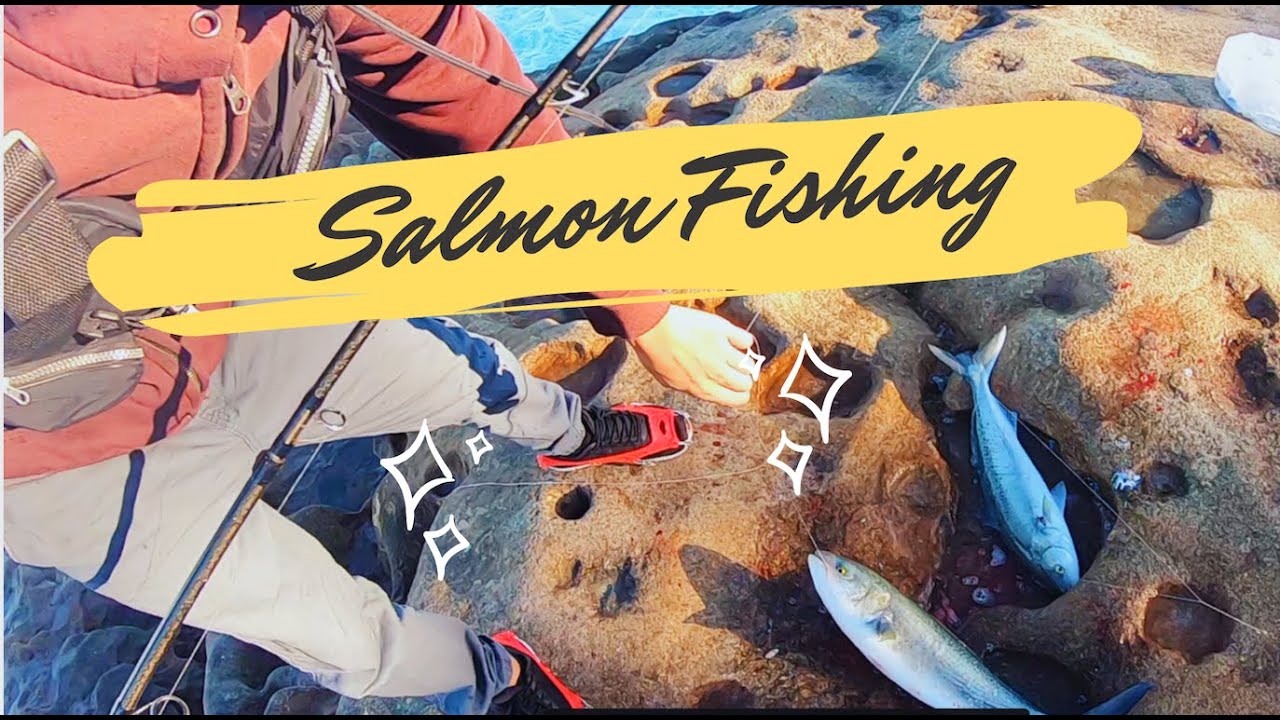 Best rock fishing spot in Sydney YouTube