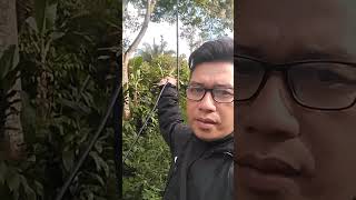 Pemasangan kabel Wifi Fiber optic Adss 12 core