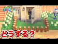 【あつ森】出掛けた瞬間家の前に柵があったら？帰っちゃう？【あつまれどうぶつの森】