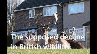 The strange idea that wildlife in Britain is somehow on the decline