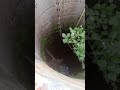beautiful well