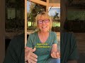 HSP SuperPowers: Connecting The Dots for Highly Sensitive Person