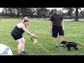 How To Teach Your Dog To Come Back When Called-Simple Training Trick -Professional Dog Training Tips How To Teach Your Dog To Come Back When Called-Simple Training Trick -Professional Dog Training Tips