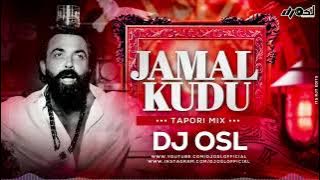 Jamal Jamaloo | Animal | Tapori Mix | DJ OSL | Animal Remix