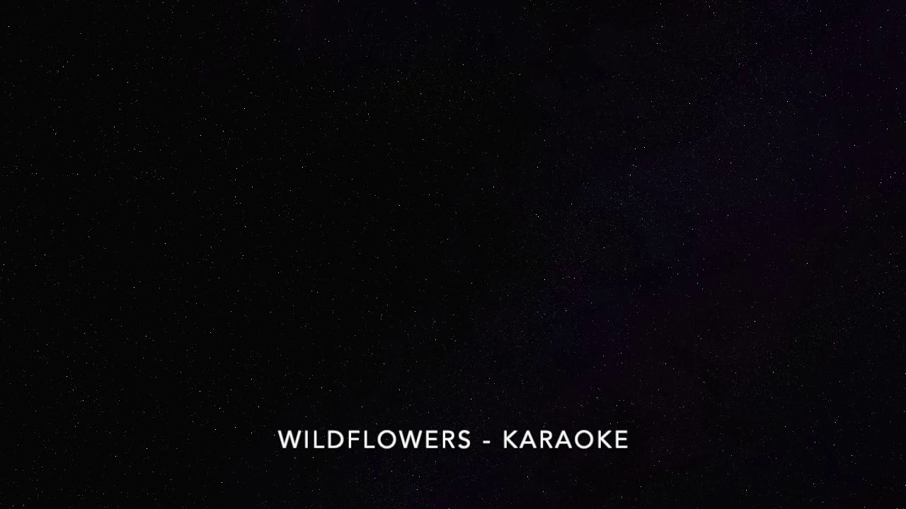 Wildflowers Karaoke YouTube