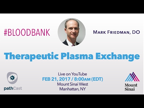 Therapeutic plasma exchange - Dr. Friedman (Mount Sinai) #TRANSFUSIONMEDICINE