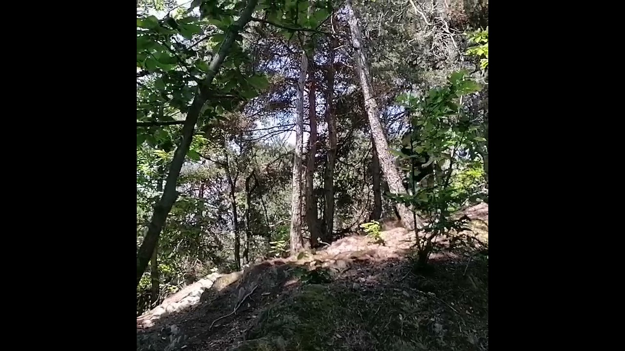 Corso di tecnica track your line 2.0