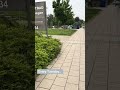 20260505   