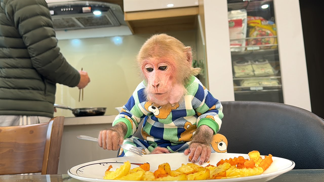 Bibi asks Dad for help making french fries!