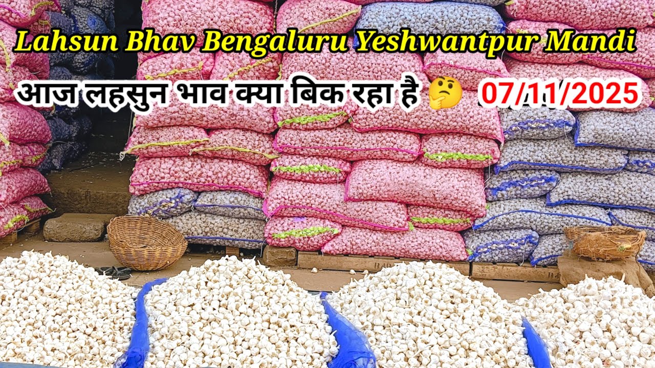 Wholesale Today garlic rate Bengaluru Mandi 