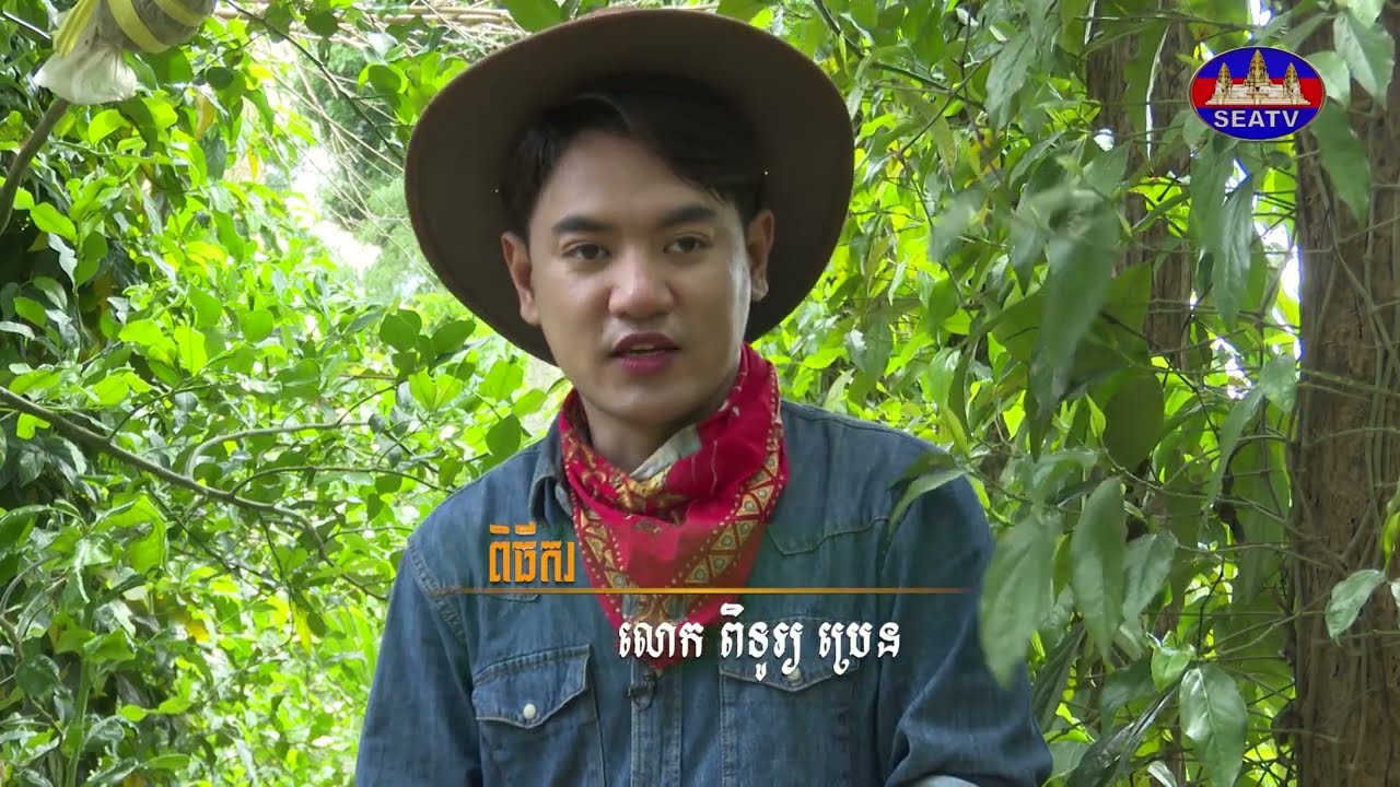 កម្មវិធីកសិកម្ម និងអភិវឌ្ឍន៍ជនបទ | ដំណាំក្រូចសើច​ - Bergamot Tree  [EPS64] 020923​