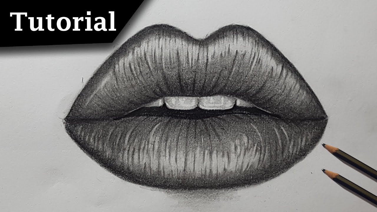 how to draw lips, pencil art academy, how to draw realistic lips, drawing t...