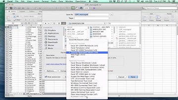 Basic File Management and Data Input with R