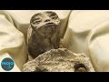 Alien Corpses REVEALED In Mexico: What Is Really Happening?