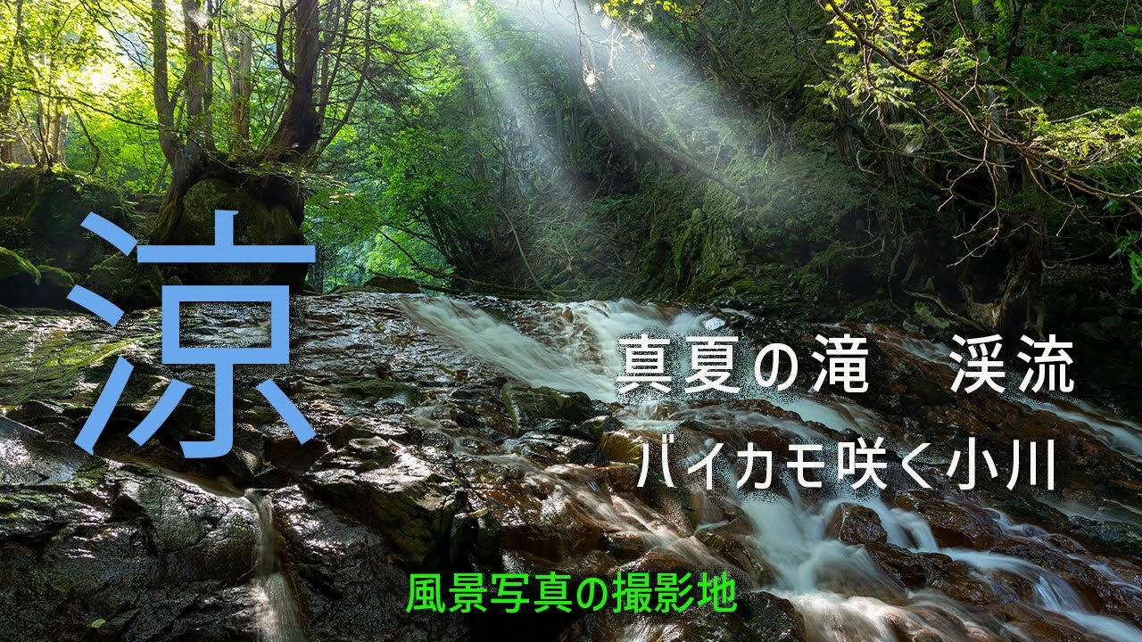 涼／信州の自然で涼むための動画【バイカモの水中動画】【滝、渓流】