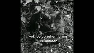 benni😖 #rekkkkkk #bts #blackpink #kpop