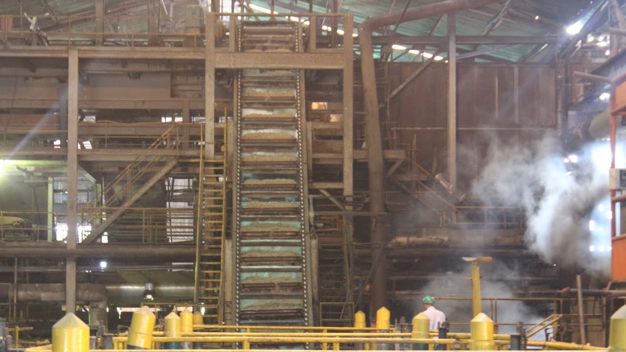 Cómo se Produce el Azúcar, Parte 2: Molienda de la Caña