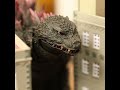 Godzilla vs. Megaguirus Recreation