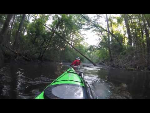 South Edisto River Paddling