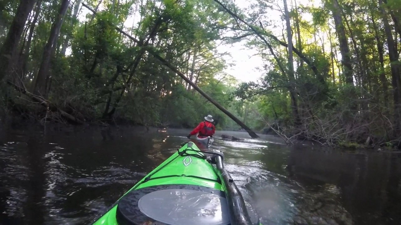 South Edisto River Paddling YouTube
