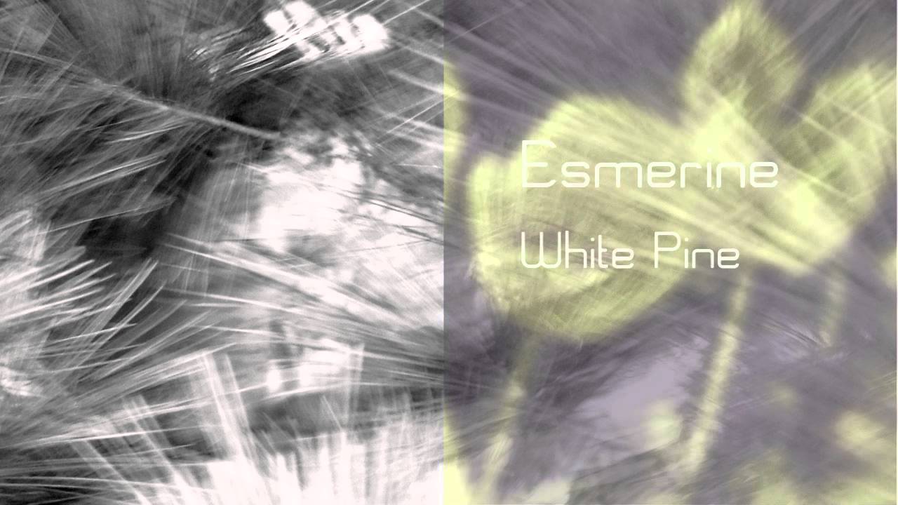 Assista a Esmerine - White Pine no YouTube Assista a Esmerine - White Pine no YouTube